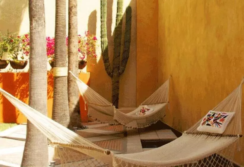 Fotos del hotel Casa Natalia Boutique:  22