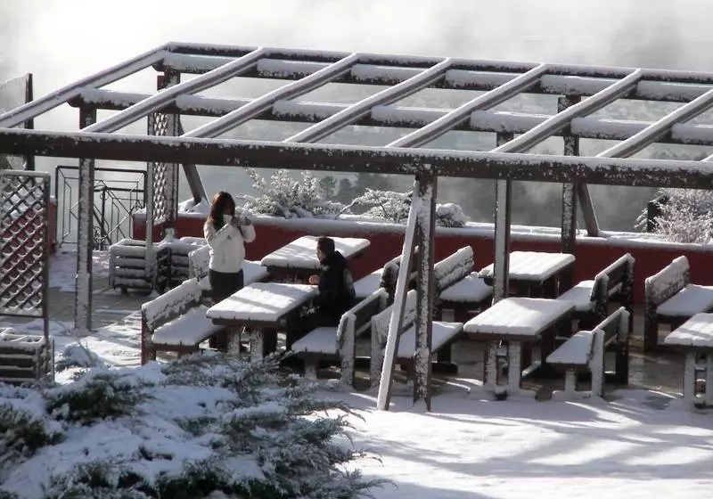 Fotos del hotel LAM Hotel Dos Carqueijais:  24