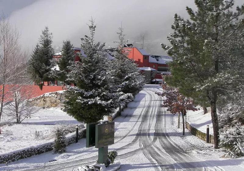 Fotos del hotel LAM Hotel Dos Carqueijais:  21