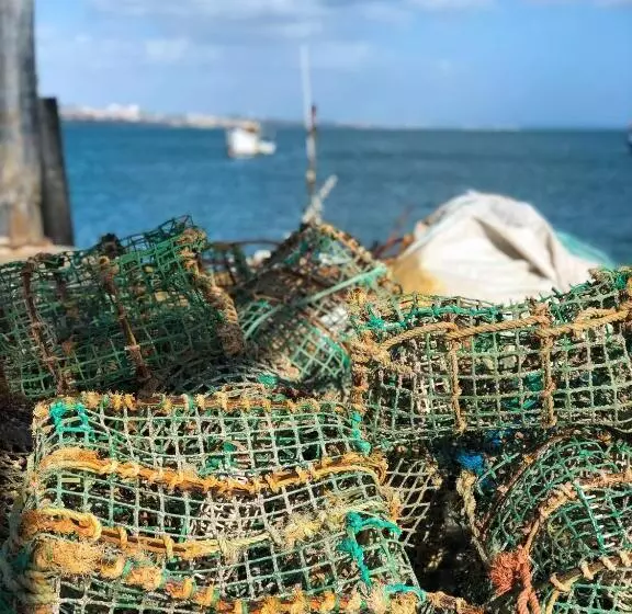 Fotos del hotel Amazonia Estoril:  11