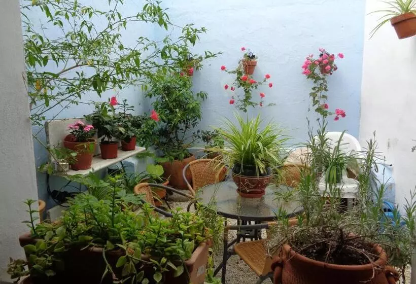 Fotos del hotel Boutique Nueve Leyendas:  4