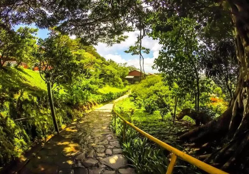 Fotos del hotel Heliconia  Monteverde:  15