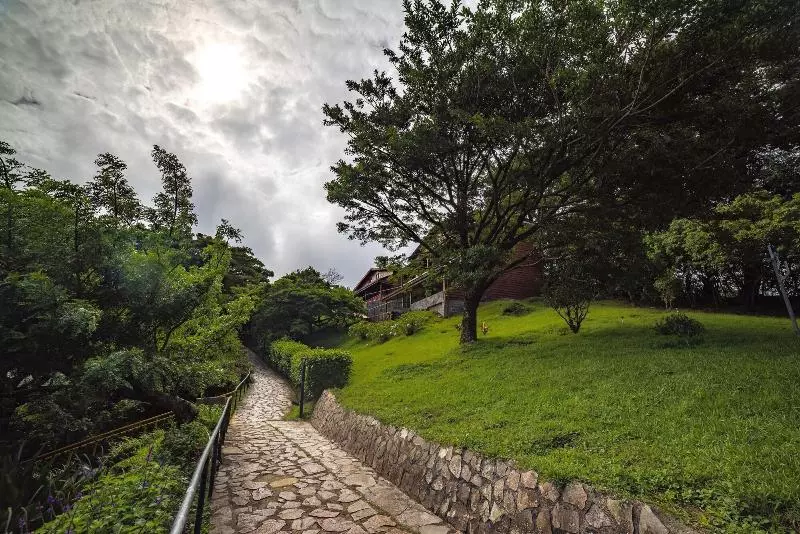 Fotos del hotel Heliconia  Monteverde:  20