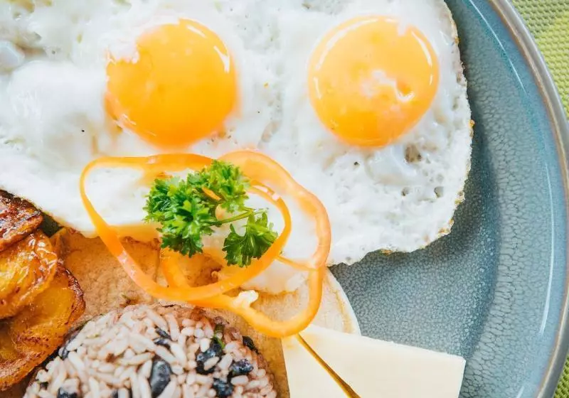 Fotos del hotel Heliconia  Monteverde:  13