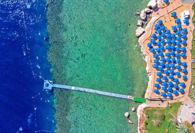 Fotos del hotel Royal Grand Sharm:  25