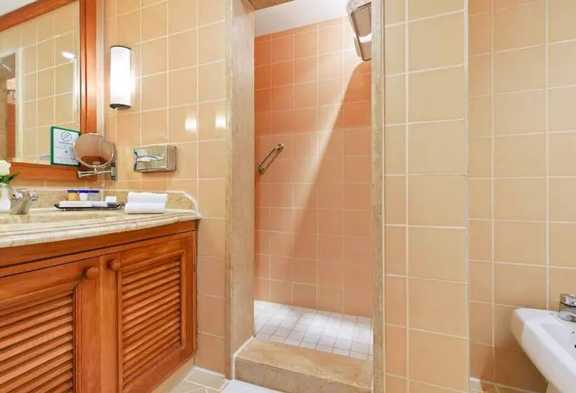Fotos del hotel Royal Grand Sharm:  33