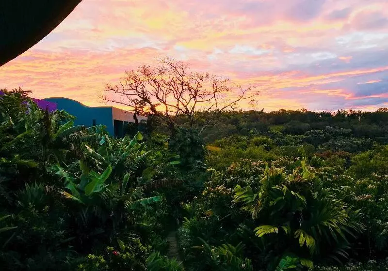 Fotos del hotel Xandari Resort & Spa:  11