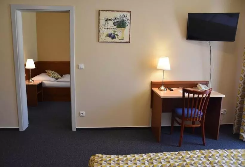 Fotos del hotel Apart Austria Suites:  22