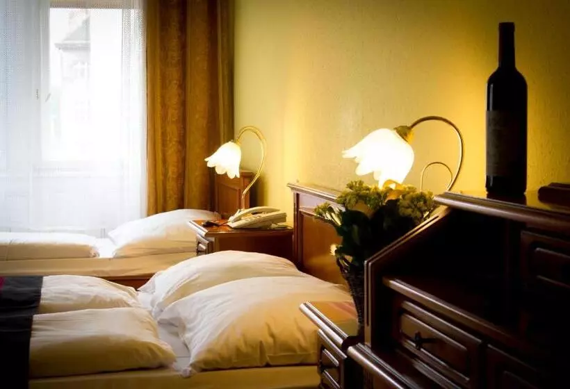 Fotos del hotel City Hotel Unio Superior:  2