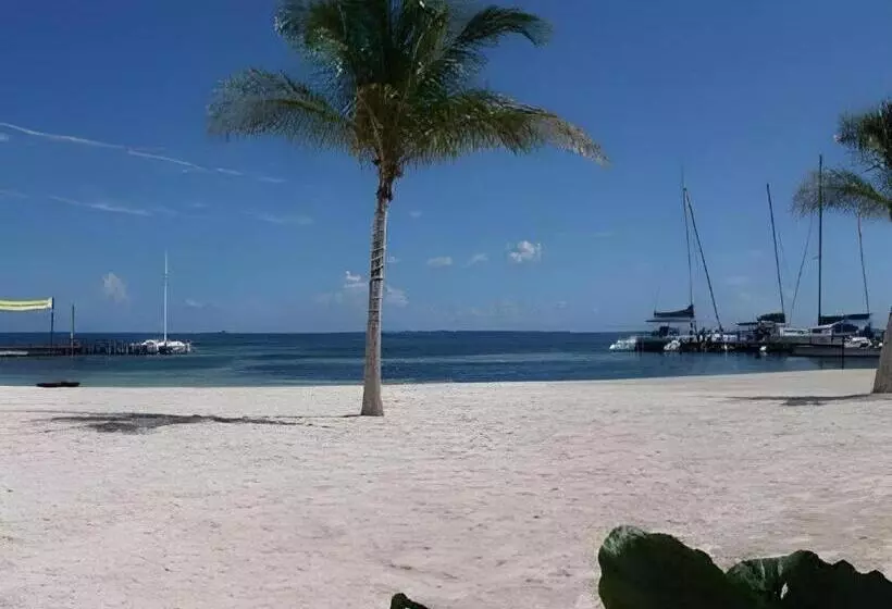 Fotos del hotel Ocean Spa Hotel Cancun:  16