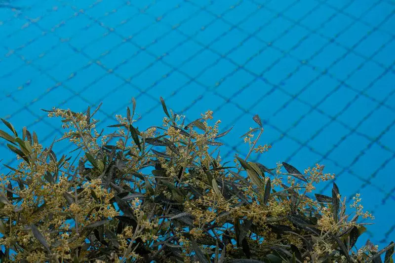 Fotos del hotel Thalassi:  3