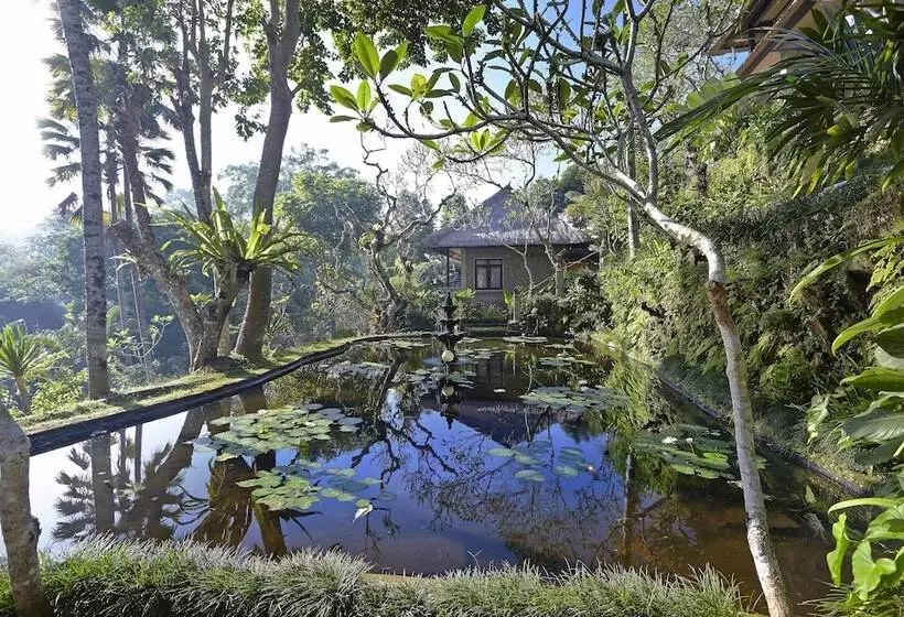 Fotos del hotel Tjampuhan Spa:  15