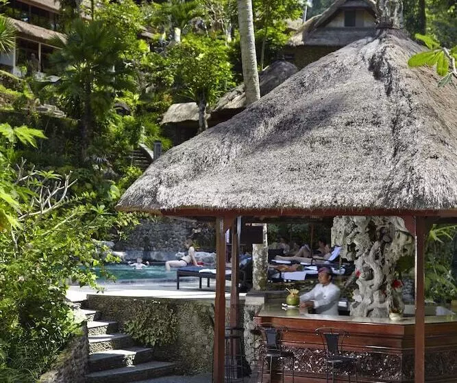 Fotos del hotel Tjampuhan Spa:  4