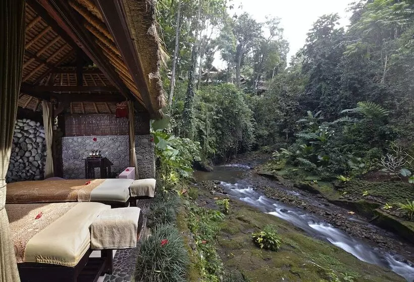 Fotos del hotel Tjampuhan Spa:  25