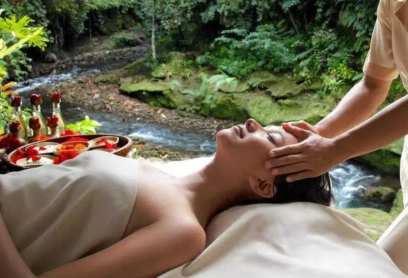 Fotos del hotel Tjampuhan Spa:  14