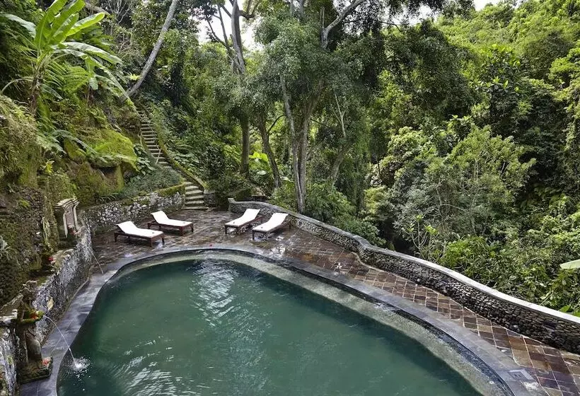 Fotos del hotel Tjampuhan Spa:  2