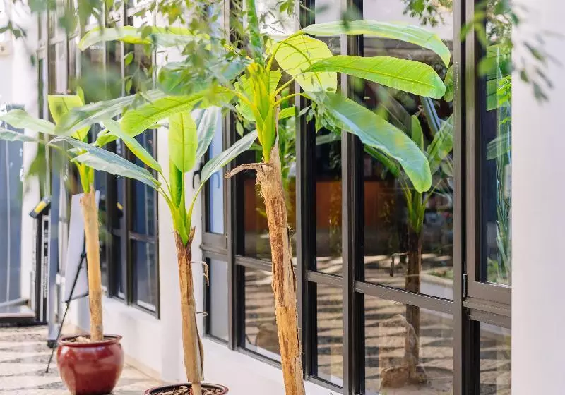 Fotos del hotel Muthu Oura Praia:  24