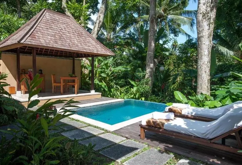 Fotos del hotel Komaneka At Monkey Forest:  8