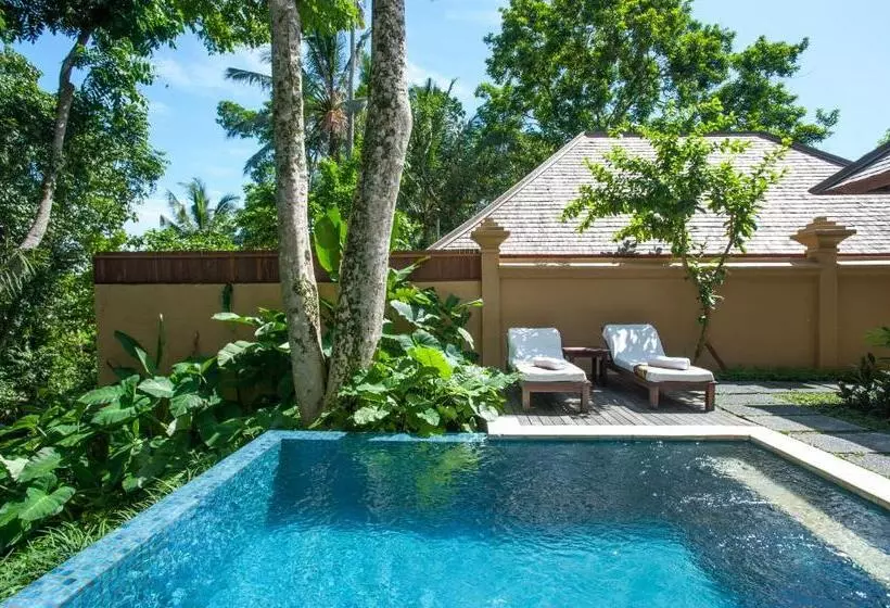 Fotos del hotel Komaneka At Monkey Forest:  2