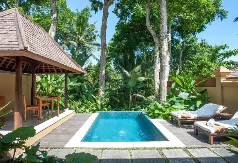 Fotos del hotel Komaneka At Monkey Forest:  13