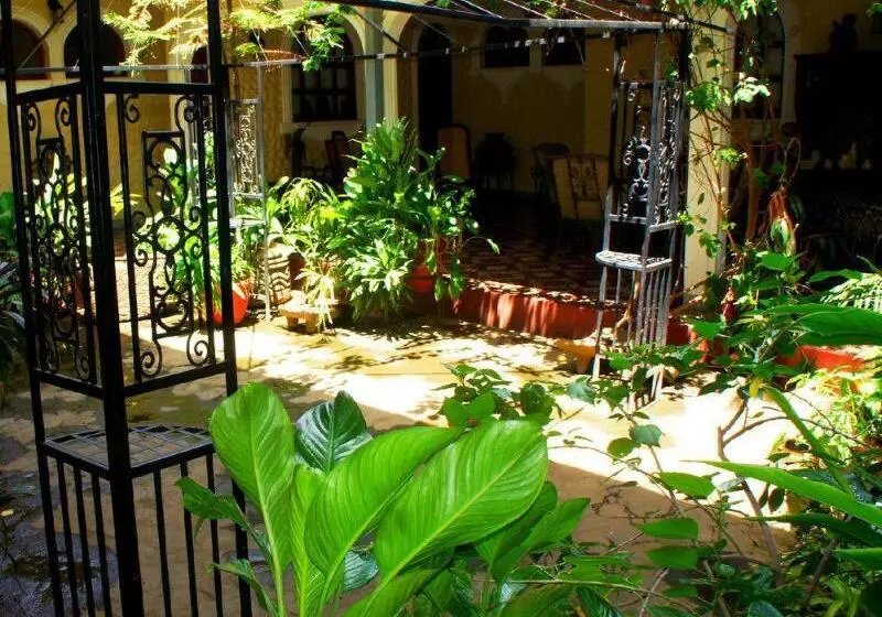 Fotos del hotel Los Balcones Leon:  11