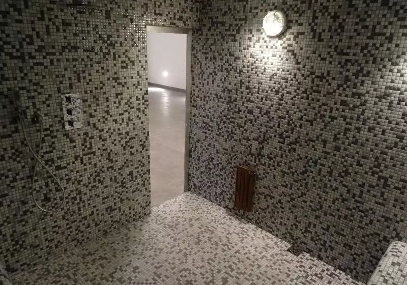 Fotos del hotel Spa Sercotel Odeón:  14