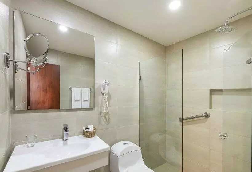 Fotos del hotel Andes Plaza:  44