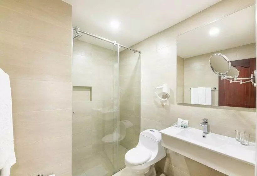 Fotos del hotel Andes Plaza:  45