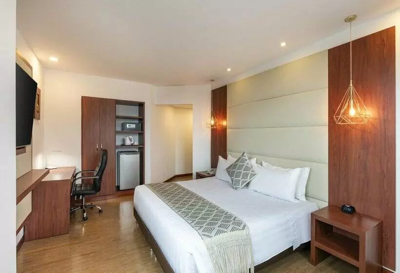 Fotos del hotel Andes Plaza:  22