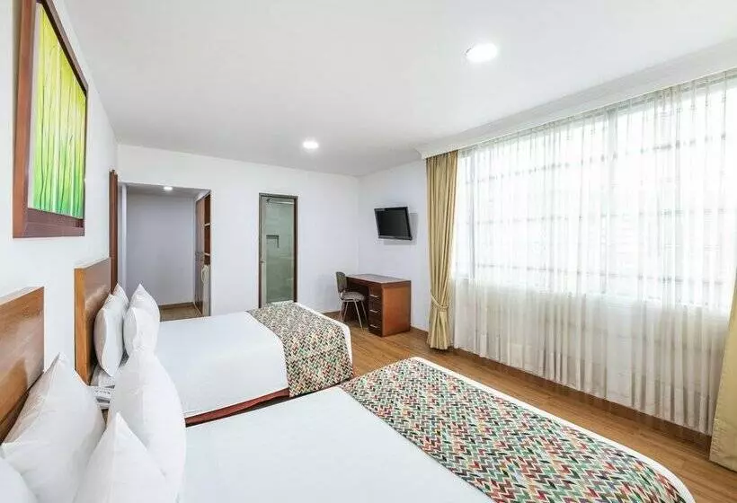 Fotos del hotel Andes Plaza:  29