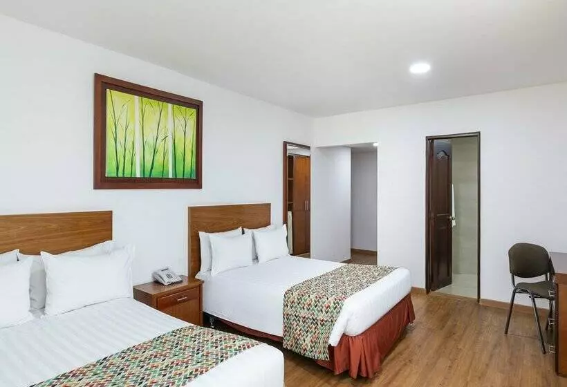 Fotos del hotel Andes Plaza:  28