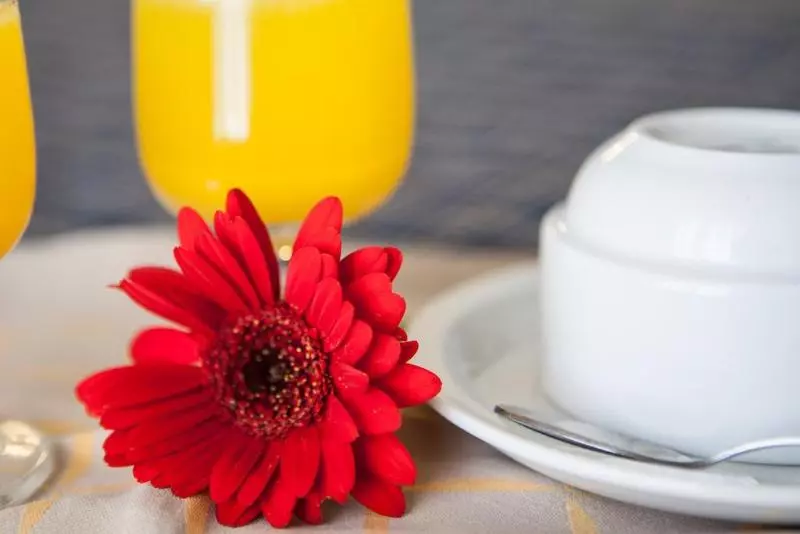 Fotos del hotel Auto Park:  22