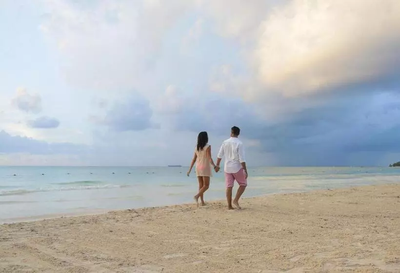 Fotos del hotel Catalonia Playa Maroma  All Inclusive:  36