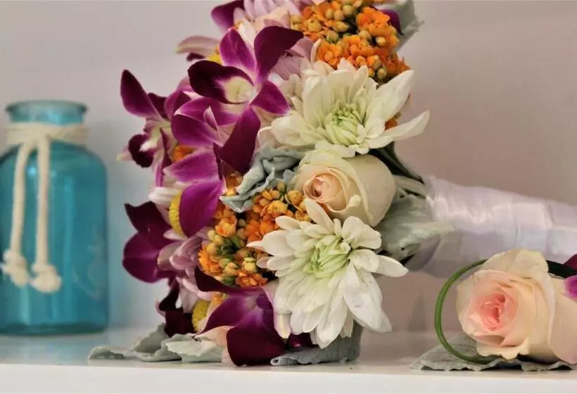 Fotos del hotel Catalonia Playa Maroma  All Inclusive:  32