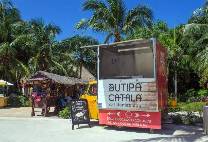 Fotos del hotel Catalonia Playa Maroma  All Inclusive:  54