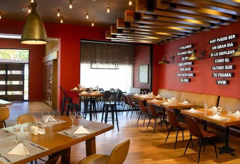 Fotos del hotel Catalonia Playa Maroma  All Inclusive:  16