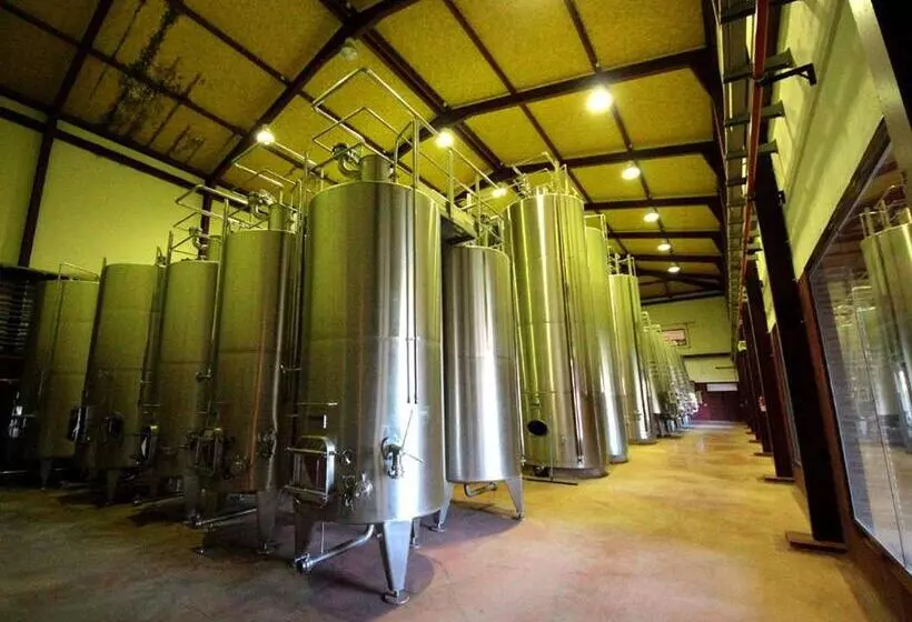 Fotos del hotel Château Viñasoro:  16