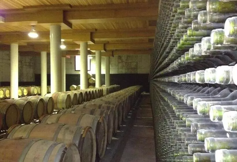 Fotos del hotel Château Viñasoro:  5