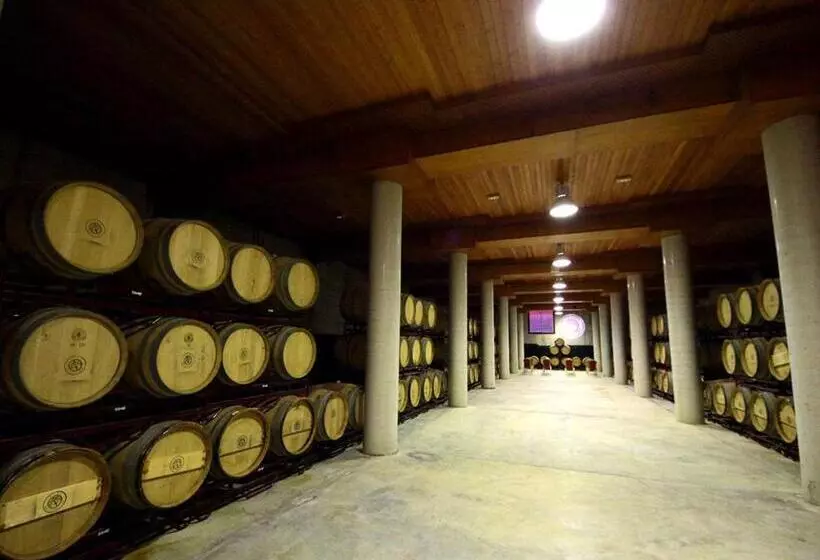 Fotos del hotel Château Viñasoro:  10