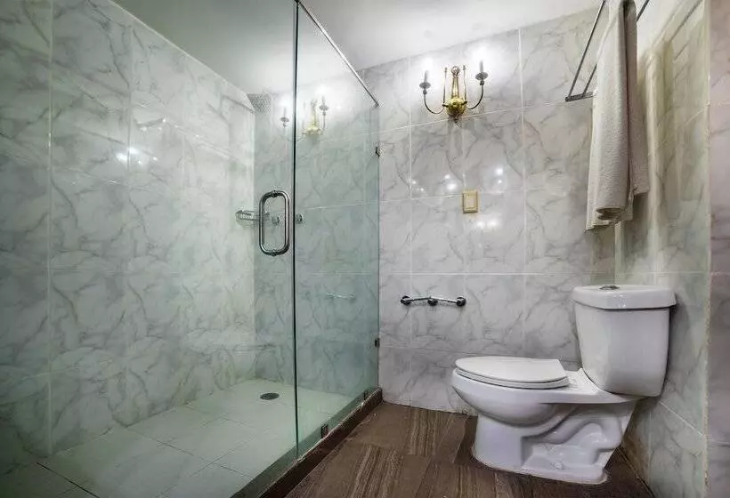 Fotos del hotel Imperial:  8