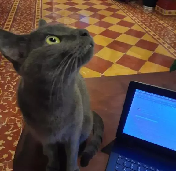 Fotos del hotel La Posada Del Doctor:  6