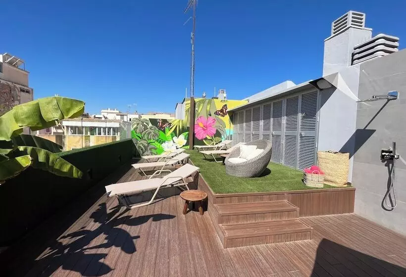 Fotos del hotel Mariposa Hotel Malaga:  14