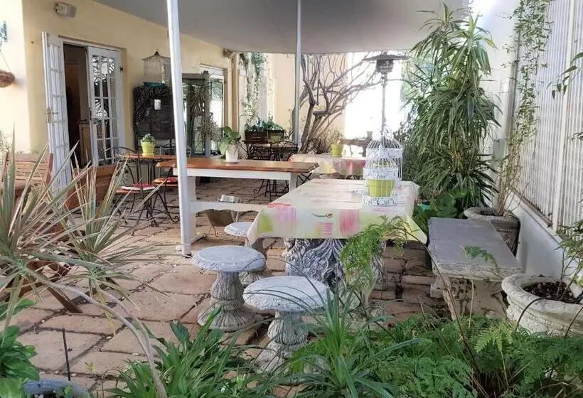 Fotos del hotel Mountain Manor Guest House & Executive Suites:  14