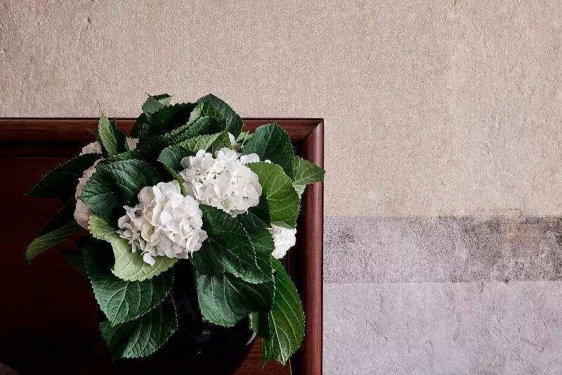 Fotos del hotel Stary:  9