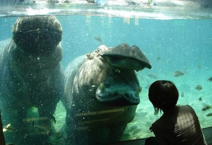 Fotos del hotel Apa Villa  Osakatanimachi 4 Chomeekimae:  2