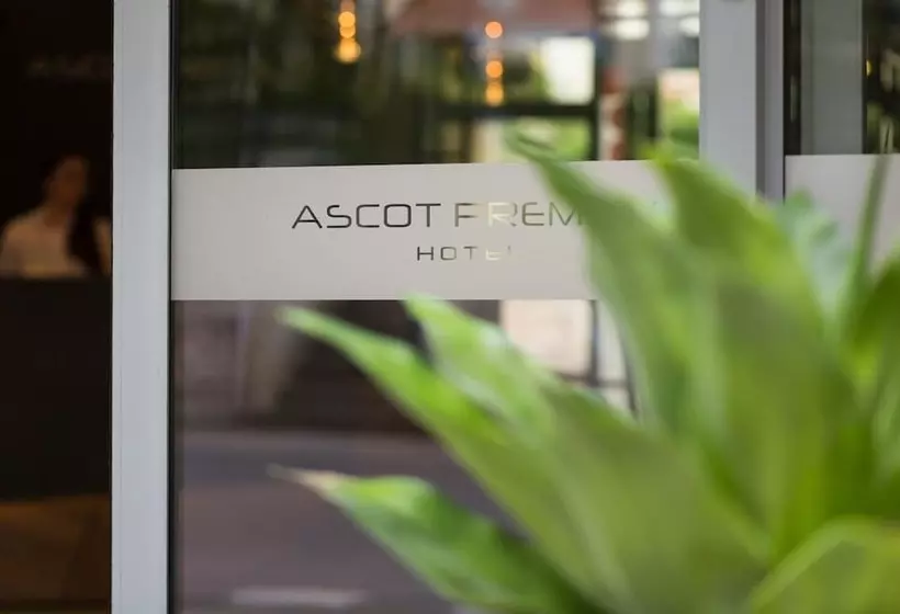 Fotos del hotel Ascot Premium:  42