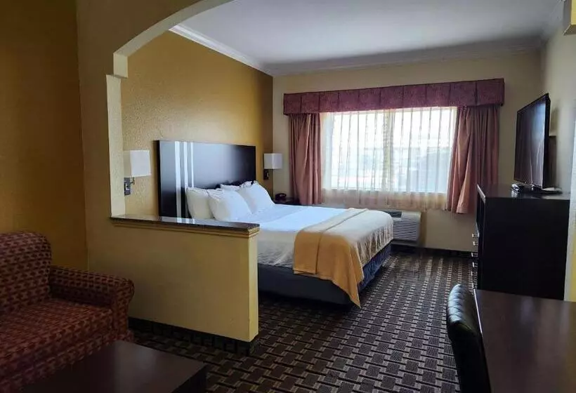Fotos del hotel Best Western Plus Sam Houston Inn & Suites:  12