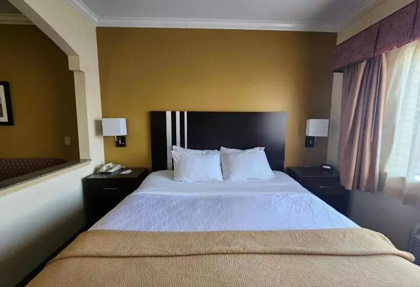 Fotos del hotel Best Western Plus Sam Houston Inn & Suites:  17