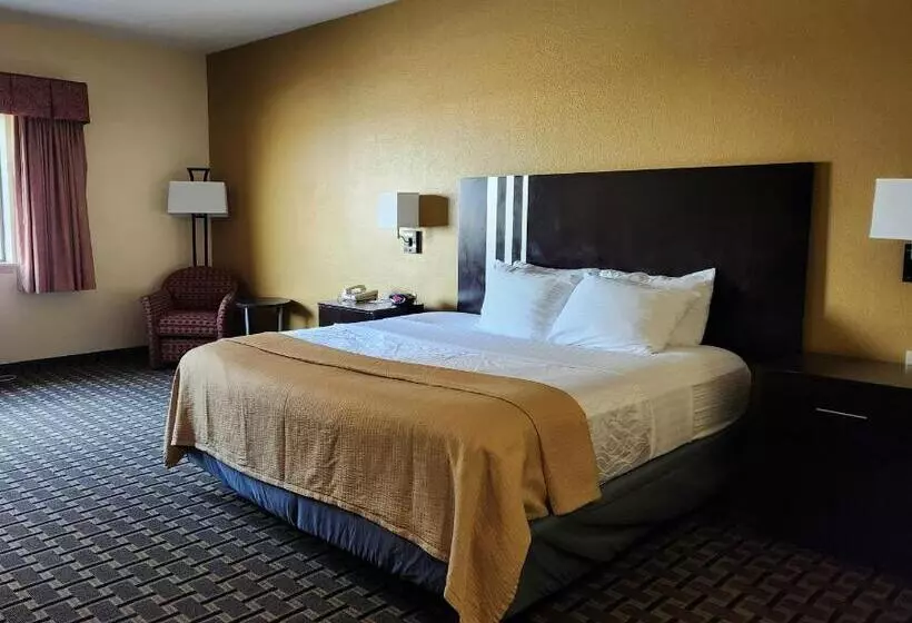 Fotos del hotel Best Western Plus Sam Houston Inn & Suites:  15