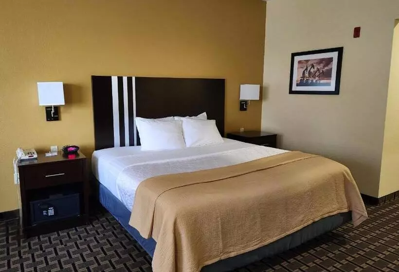 Fotos del hotel Best Western Plus Sam Houston Inn & Suites:  24